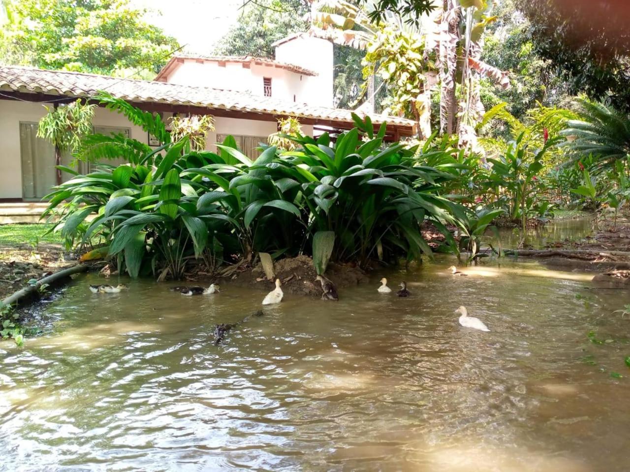 Finca Hotel La Estancia Santa Fe de Antioquia Kültér fotó