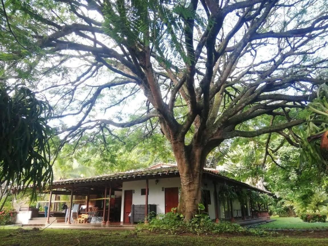 Finca Hotel La Estancia Santa Fe de Antioquia Kültér fotó